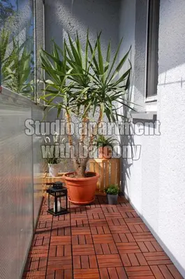 a hallway with plants in pots on a wall at Apartments Peter & Free parking in Ljubljana