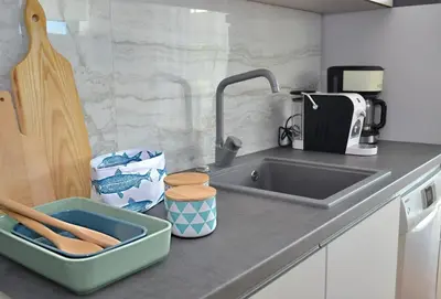 a kitchen counter top with a sink and a sink at Apartmaji 43 in Tolmin