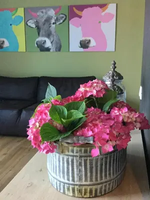 a flower basket with pink flowers and cows on the wall at Apartmaji 43 in Tolmin
