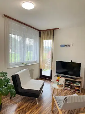 a living room with a tv and a couch and a chair at Apartments Bukor with seasonal pool in Lukovica pri Domžalah