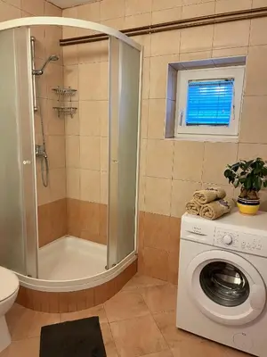 a bathroom with a shower and a washing machine at Apartments Bukor with seasonal pool in Lukovica pri Domžalah
