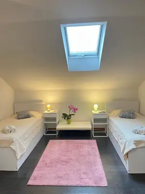 two beds in a room with a window and a pink rug at Apartments Bukor with seasonal pool in Lukovica pri Domžalah