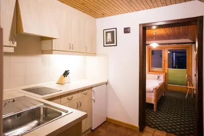 a kitchen with a sink and a bed in a room at Apartments Dolar in Bled