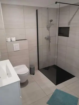 a bathroom with a shower and a toilet at Apartments Ole in Tolmin