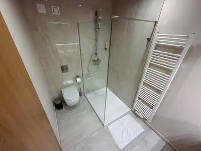 a bathroom with a shower and a toilet at Terme Paradiso - Hotel Paradiso in Dobova
