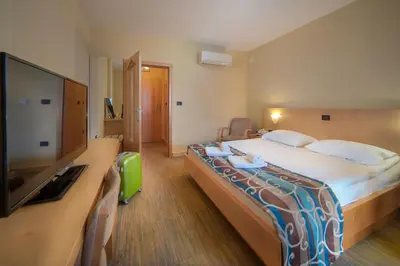 a hotel room with a large bed and a television at Hotel Malovec in Divača