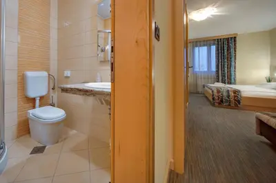 a bathroom with a toilet and a sink and a bed at Hotel Malovec in Divača