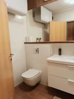 a small bathroom with a toilet and a sink at Apartment Paradise in Moravske Toplice
