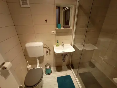 a bathroom with a toilet and a sink and a shower at Tiptop Apartment & Outdoor Activities in Bovec