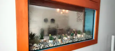 a window with a bunch of plants in a room at Apartments & rooms Saša in Podčetrtek
