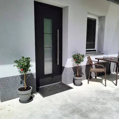 a black door with two potted plants next to a table at Apartments & rooms Saša in Podčetrtek