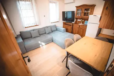 a living room with a couch and a tv at POČITNIŠKI APARTMAJI - Sunny apartment in Moravske Toplice in Moravske Toplice