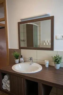 a bathroom sink with a large mirror and plants at Apartments Pod Bregom in Kranjska Gora