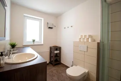 a bathroom with a sink and a toilet and a shower at Apartments Pod Bregom in Kranjska Gora
