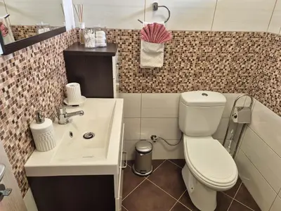 a small bathroom with a toilet and a sink at Apartma SIMONA in Bohinj