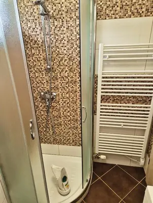 a shower with a glass door in a bathroom at Apartma SIMONA in Bohinj