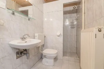 a bathroom with a toilet and a sink and a shower at Apartment - Speleo Camp in Logatec