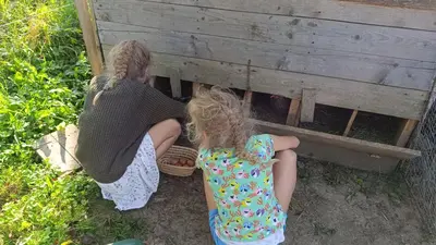 two young girls sitting next to a chicken coup at Tourist Farm Strle With Great Local Food in Cerknica