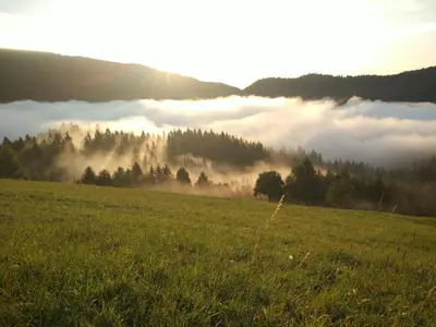a foggy field with the sun rising over a field with trees at Tourist Farm Strle With Great Local Food in Cerknica
