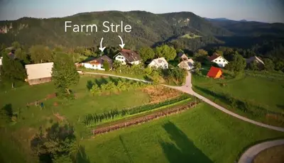 a village in the mountains with a farm site at Tourist Farm Strle With Great Local Food in Cerknica