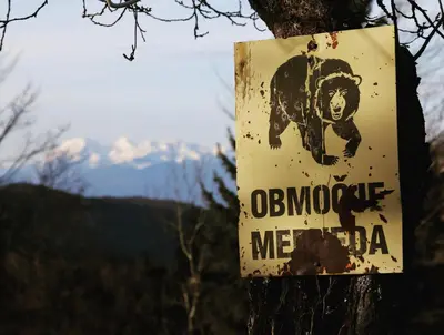 a sign on a tree with a monkey on it at Tourist Farm Strle With Great Local Food in Cerknica