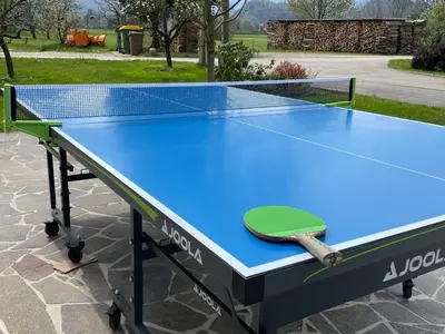 a blue ping pong table with a racket on it at Bled Home in Bled