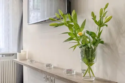 a vase with a plant sitting on a counter at Sweet 16 Studio in Ljubljana
