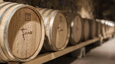 a row of wooden barrels in a wine cellar at Fana Estate in Dobrovo
