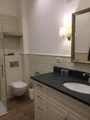 a bathroom with a toilet and a sink and a mirror at FORUM Apartment I and II in Ljubljana