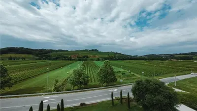 an empty road in a vineyard next to a highway at Hotel Venko in Dobrovo