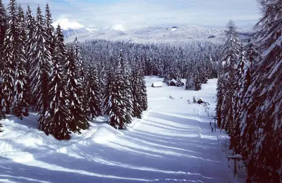 a group of people skiing down a snow covered slope at Apartments Arh in Bohinjska Bistrica