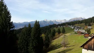 a green field with trees and mountains in the background at Apartments Arh in Bohinjska Bistrica