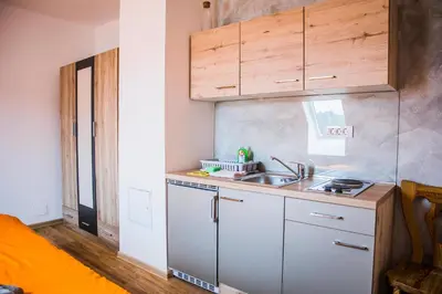 a small kitchen with a sink and a counter at Apartments Arh in Bohinjska Bistrica