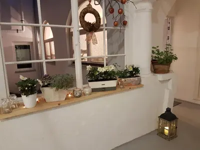 a window with potted plants on a shelf at Romantic Apartments Sweet Baci in Maribor