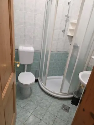 a bathroom with a shower and a toilet and a sink at Hotel Rakov Skocjan in Cerknica