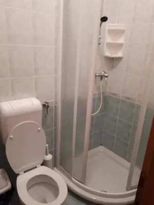 a bathroom with a toilet and a shower at Hotel Rakov Skocjan in Cerknica