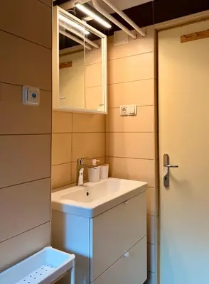 a bathroom with a sink and a mirror at Apartments Žnidar in Spodnje Gorje
