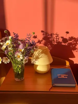 a table with a vase of flowers and a book at Apartments Žnidar in Spodnje Gorje