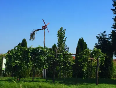 a windmill on top of trees in a field at Apartment Marjetica in Moravske Toplice