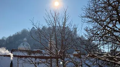 a tree in front of a building with the sun behind it at i Design Studio in Ljubljana