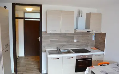 a small kitchen with a sink and a stove at Monolocale Belvedere in Bovec