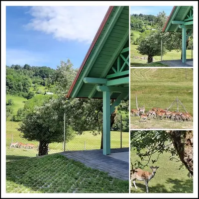 a collage of pictures of animals in a field at Holiday Home Neokrnjena Narava in Sevnica