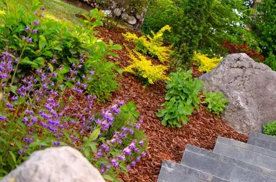 a garden with purple and yellow flowers and stairs at Apartmaji Rajska Ptica in Bled