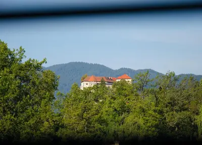a house in the middle of some trees at Apartmaji Rajska Ptica in Bled