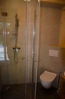 a bathroom with a toilet and a glass shower at Apartmaji Rajska Ptica in Bled