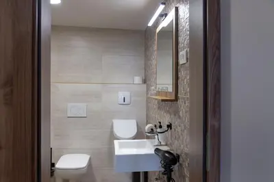 a bathroom with a toilet and a sink and a mirror at Vila Marin Miler in Prevalje