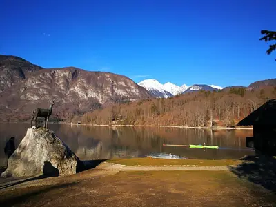 a goat standing on a rock in front of a lake at Planika B&M in Bohinj