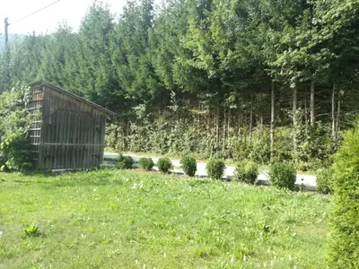 a garden with a wooden shed and some plants at Apartment House Andrej in Bohinj