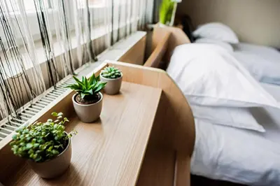 three potted plants sitting on a table next to a bed at Rooms VERDE in Petrovče