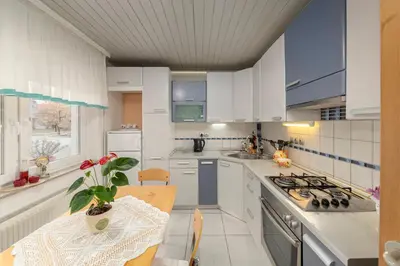 a kitchen with white cabinets and a table with a plant at Apartma Franko in Cerklje na Gorenjskem